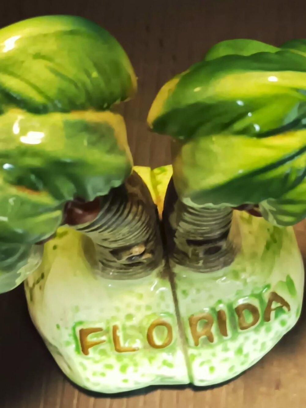 Rare vintage Sun Japan one-piece Florida palm trees salt and pepper shaker.